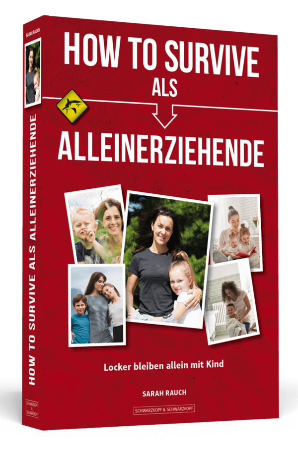 HOW TO SURVIVE ALS ALLEINERZIEHENDE